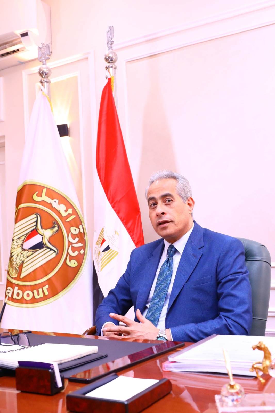 وزير القوى العامله 